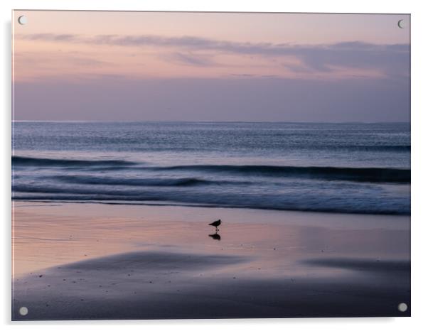Sunrise on the Algarve coast Acrylic by Tony Twyman
