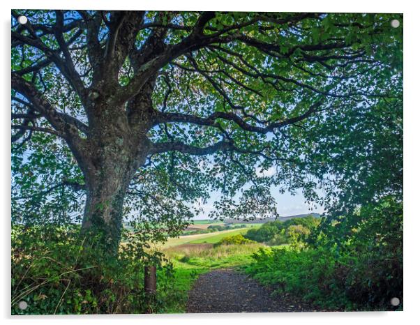 Beautiful North Devon countryside Acrylic by Tony Twyman