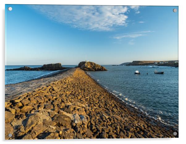 Bude Breakwater Acrylic by Tony Twyman