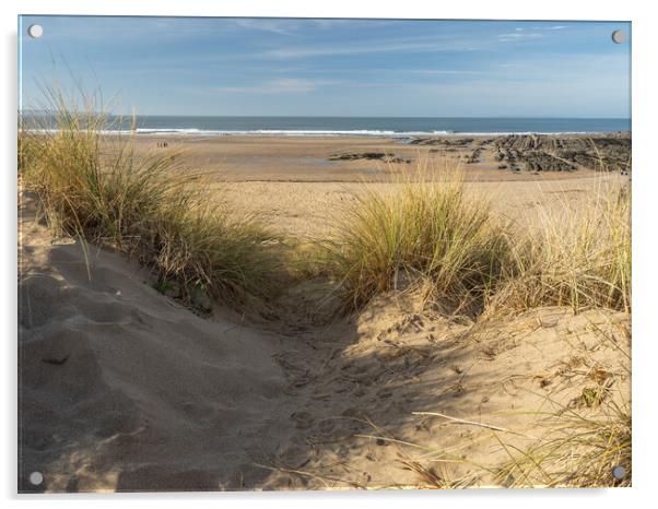 Sand dunes at Croyde Beach Acrylic by Tony Twyman