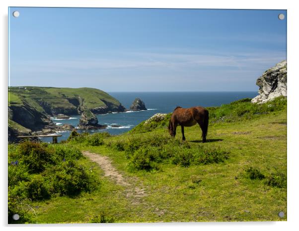 Rugged Cornish coastline  Acrylic by Tony Twyman
