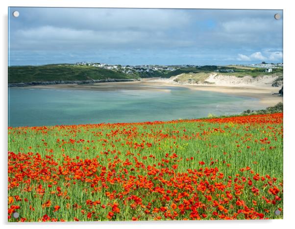 Vibrant Coastal Wildflower Oasis Acrylic by Tony Twyman