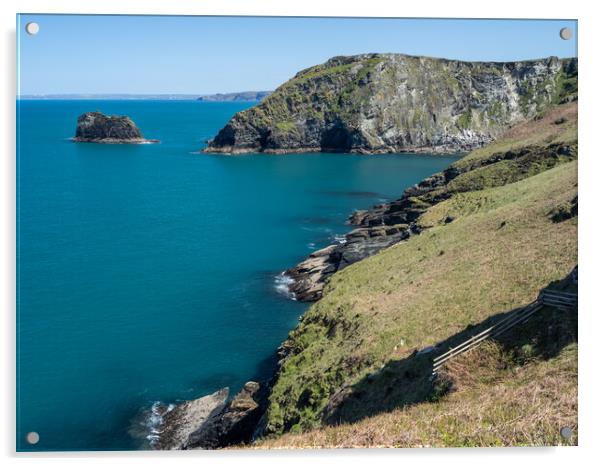Cornish coast at Tintagel Acrylic by Tony Twyman