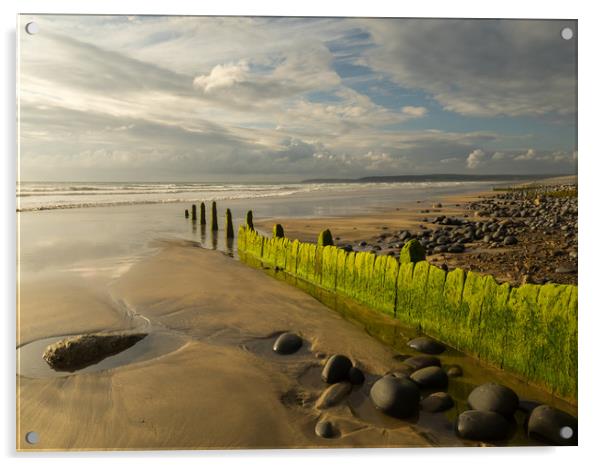 Westward Ho! beach groynes in North Devon  Acrylic by Tony Twyman