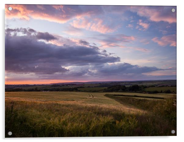 Farmers field in Bideford at Sunset in North Devon Acrylic by Tony Twyman