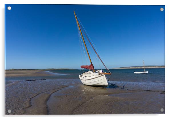 Yacht moored on Grey sands beach at Appledore Acrylic by Tony Twyman