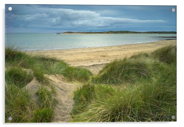 Sand dunes at Instow in North Devon Acrylic by Tony Twyman
