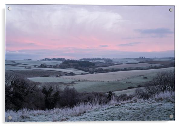 Frosty hills of Bideford , Devon Acrylic by Tony Twyman