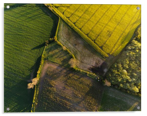 A look down at Fields Acrylic by Edward Laxton