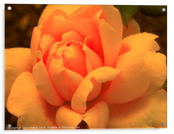 A yellow rose Acrylic by Joyce Nelson