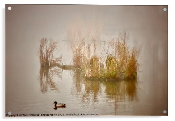 Misty Lake Acrylic by Tony Williams. Photography email tony-williams53@sky.com