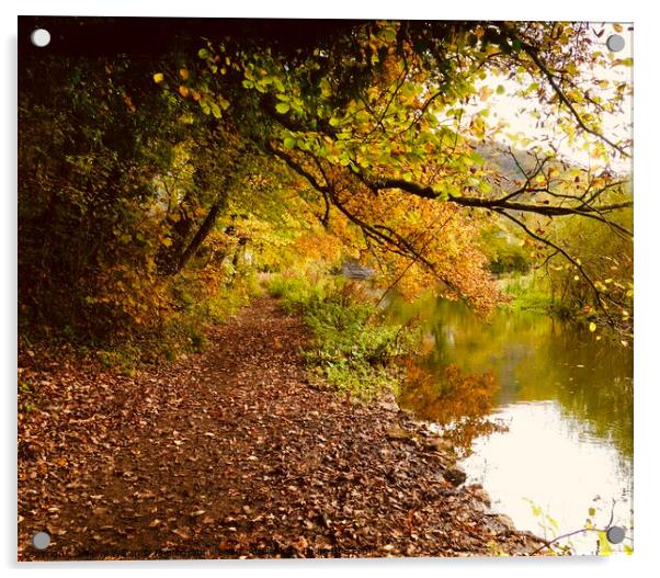 Autumn Walk. Acrylic by Tony Williams. Photography email tony-williams53@sky.com
