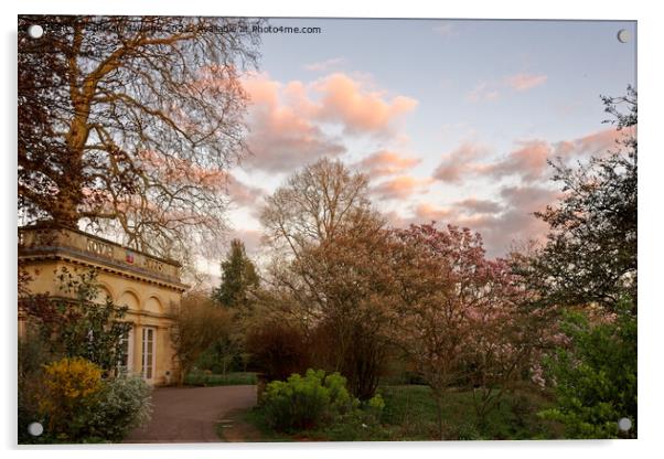 Cotton Candy skies at the Botanical Garden Acrylic by Duncan Savidge