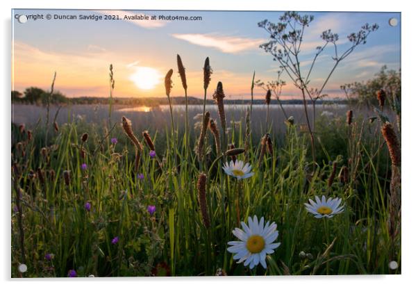 Chew Valley Lake Daisy sunset Acrylic by Duncan Savidge