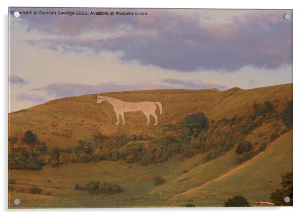 Golden light on the Westbury white horse Acrylic by Duncan Savidge
