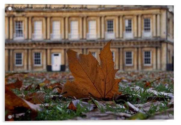 Autumn leaf at the Circus Bath Acrylic by Duncan Savidge