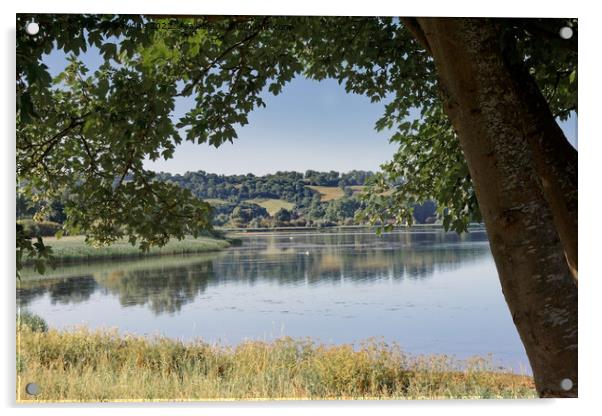 Chew Valley Lake framed in the summer Acrylic by Duncan Savidge