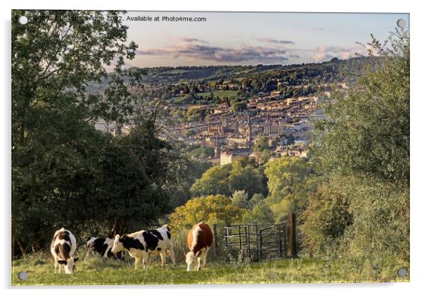 Rural Bath Acrylic by Duncan Savidge