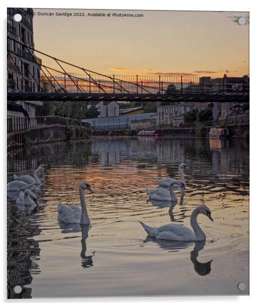 Swans at sunset along the River Avon Bath Acrylic by Duncan Savidge