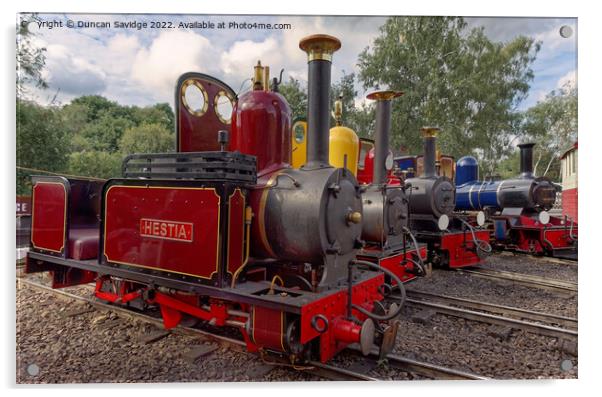 Moors Valley Railway collection of narrow gauge locomotives Acrylic by Duncan Savidge