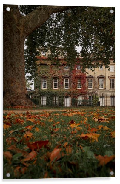 Autumn in Bath at Queens Square Acrylic by Duncan Savidge