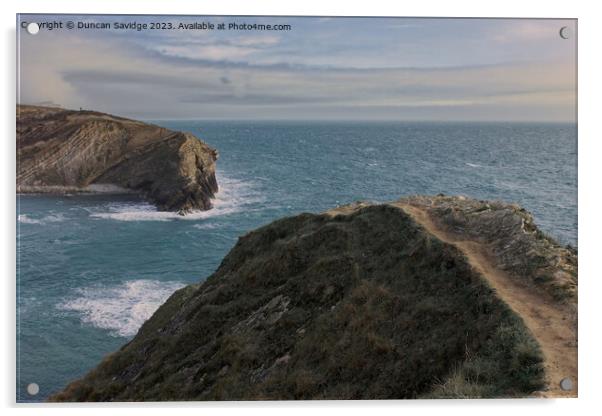 Lulworth Cove headland Acrylic by Duncan Savidge