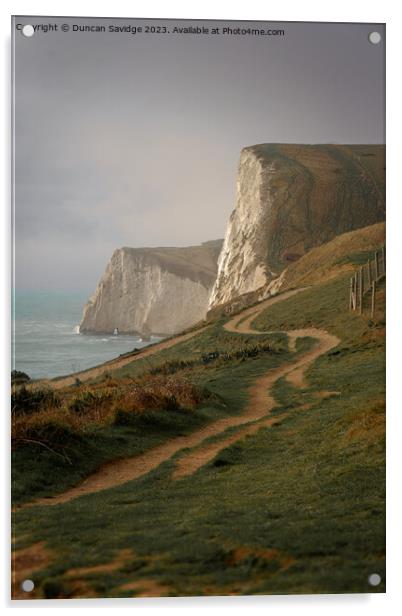 White Cliffs of Dorset Acrylic by Duncan Savidge