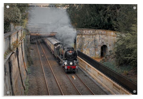 Steam train Braunton through Sydney Gardens in Bath Acrylic by Duncan Savidge