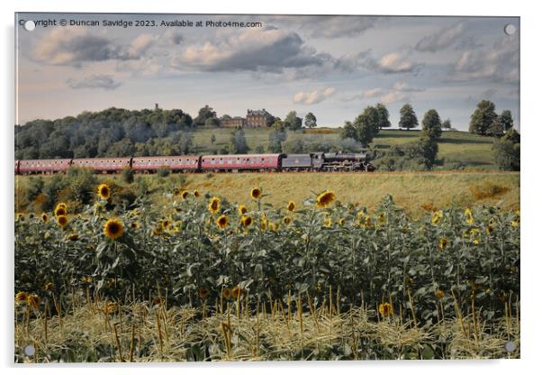 Steam trains and sunflower fields  Acrylic by Duncan Savidge