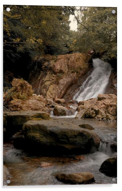 Coniston Waterfall  Acrylic by Duncan Savidge
