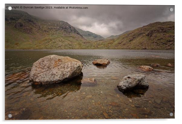 Levers water Coniston Acrylic by Duncan Savidge