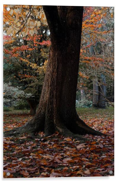 Autumn tree in the Botanical Gardens Bath Acrylic by Duncan Savidge