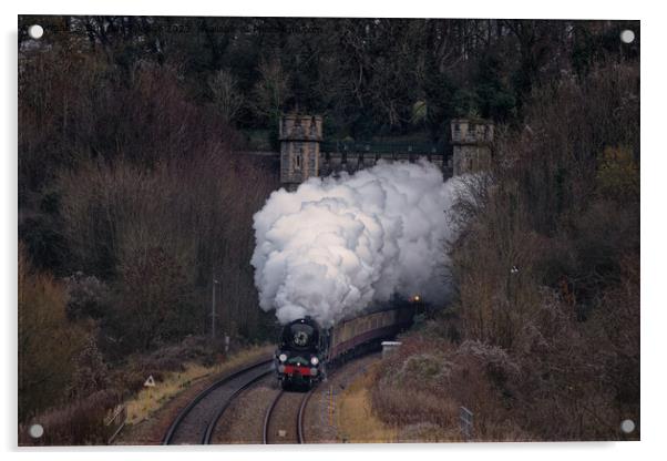 Braunton bursts out of Twerton Tunnel, Bath Acrylic by Duncan Savidge
