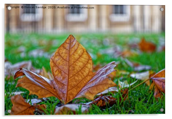 Autumn leaf at the Circus Bath Acrylic by Duncan Savidge