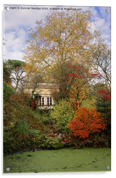 Autumn at Autumn at Botanical Gardens at Royal Victoria Park  at Royal Victoria Park  Acrylic by Duncan Savidge