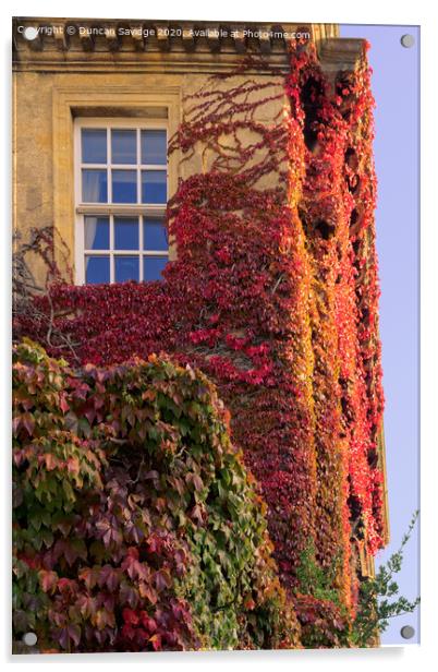 Autumn at Queens Square Bath as the Ivy turns red close up Acrylic by Duncan Savidge