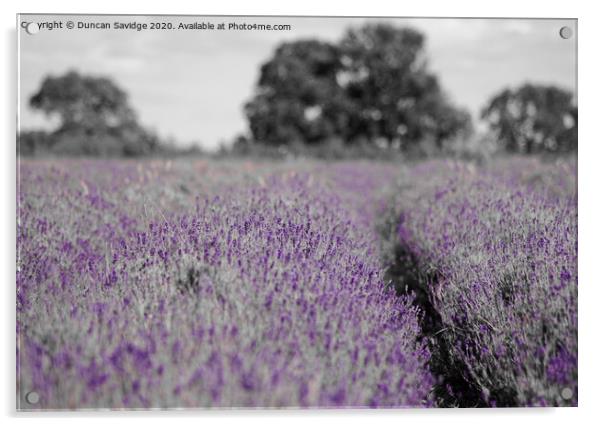 Artistic lavender farm Acrylic by Duncan Savidge