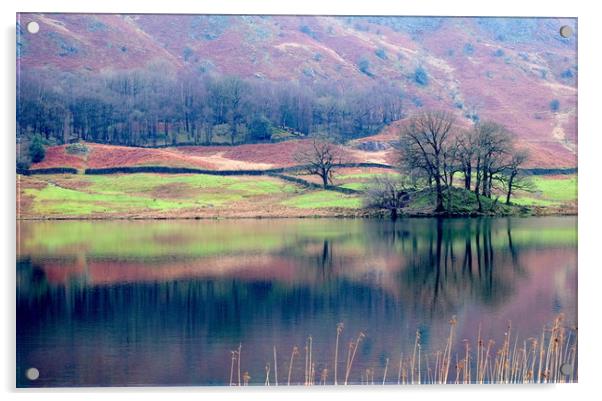 Rydal Water, Grasmere, Lake District Acrylic by John Robertson
