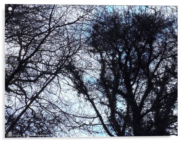 Winter Trees Acrylic by John Robertson