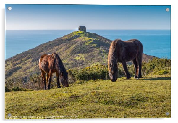 Horses at Rame Head Cornwall Acrylic by Jim Peters