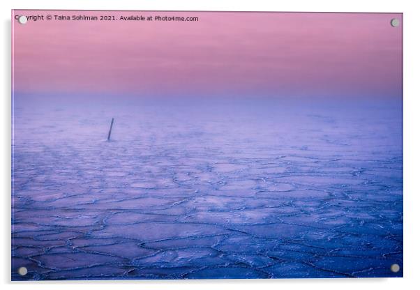 Pink Haze over Frozen Sea  Acrylic by Taina Sohlman