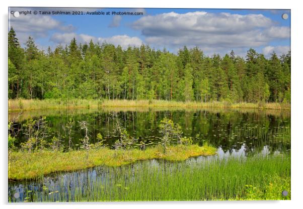 Beautiful Marshland Lake in Finland Acrylic by Taina Sohlman