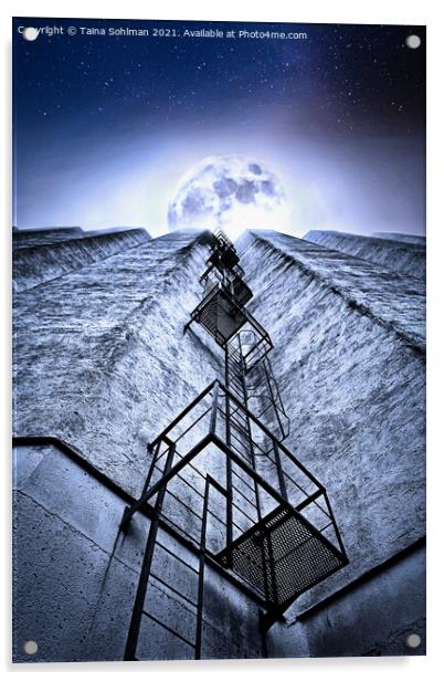 Ladder to the Full Moon Acrylic by Taina Sohlman