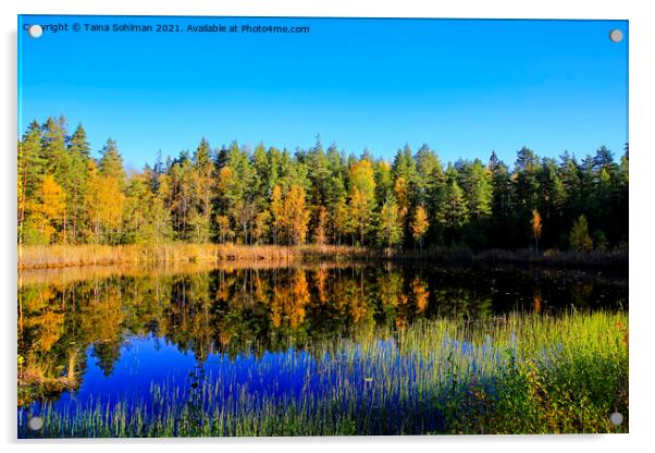 Small Marshland Lake in Autumnal Colors Acrylic by Taina Sohlman