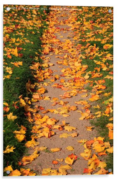 Footpath with Fallen Leaves Acrylic by Taina Sohlman