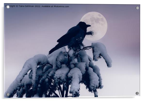 Hooded Crow and Full Moon in Winter Acrylic by Taina Sohlman