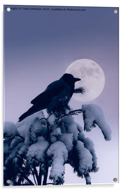 Hooded Crow and Full Moon in Winter Acrylic by Taina Sohlman