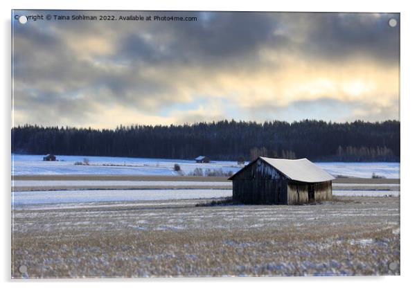 Wooden Barn Under Moody Sky in Winter  Acrylic by Taina Sohlman