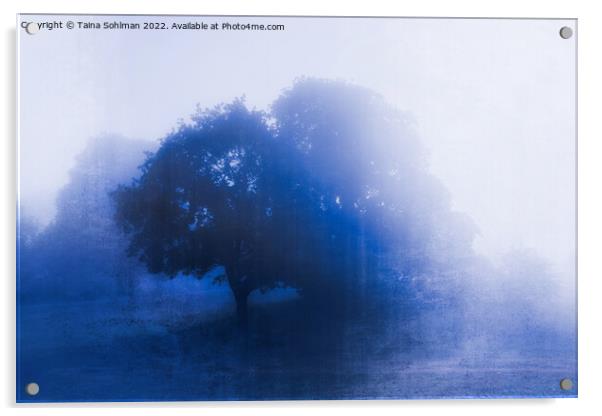 Tree in Blue Fog Blue Monochrome Acrylic by Taina Sohlman