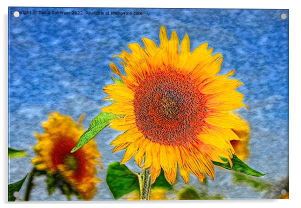The Sunflower Acrylic by Taina Sohlman